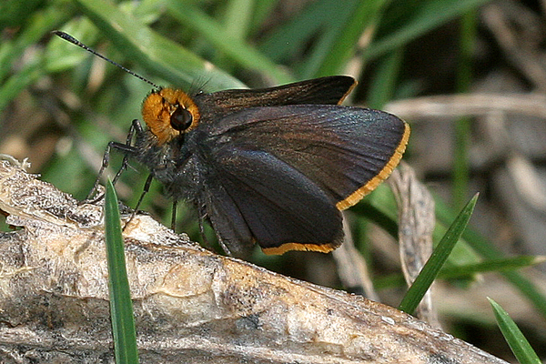 Image 400x300