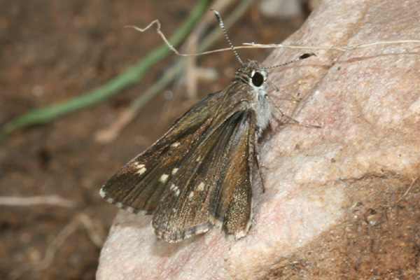 Image 400x300