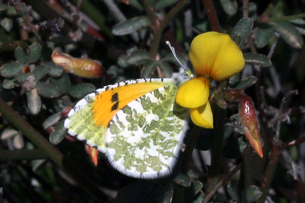 Image 400x300