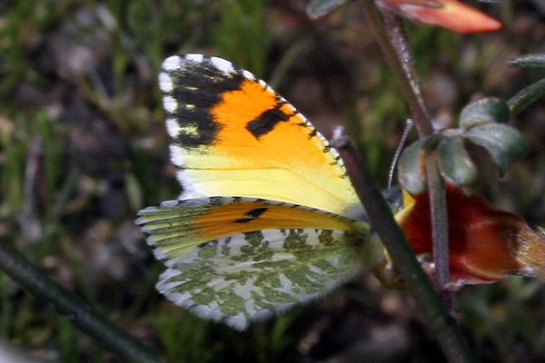 Image 400x300