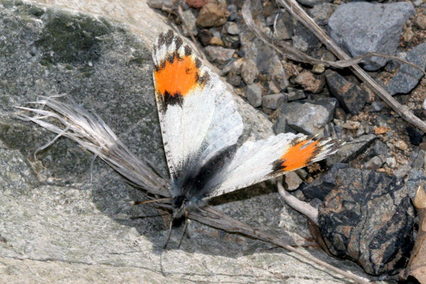 Image 400x300