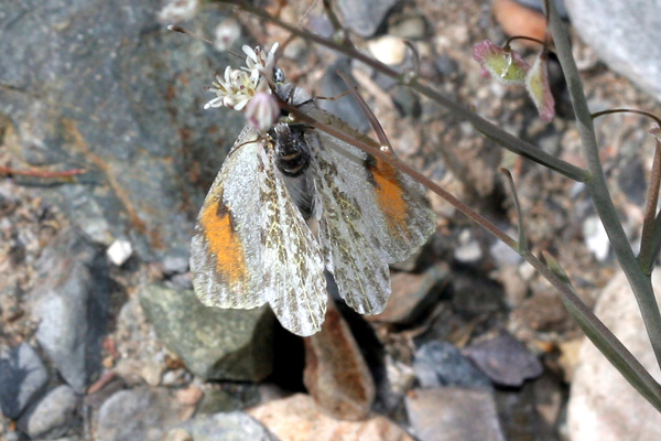 Image 400x300