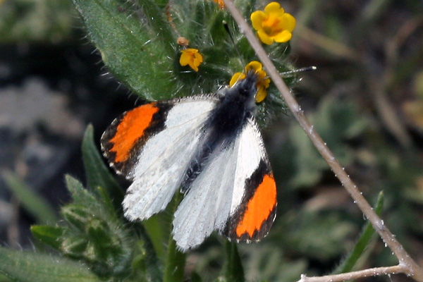 Image 400x300