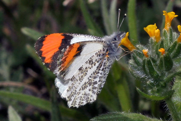 Image 400x300