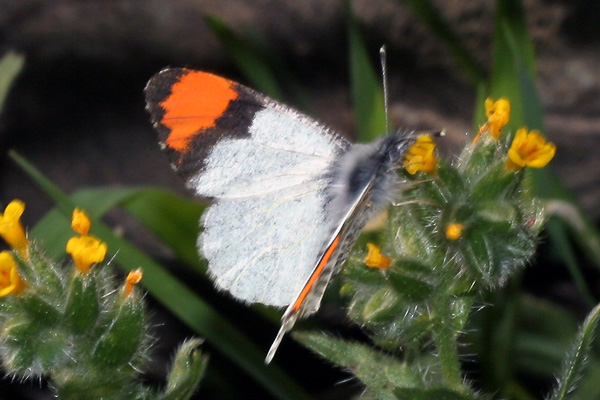 Image 400x300