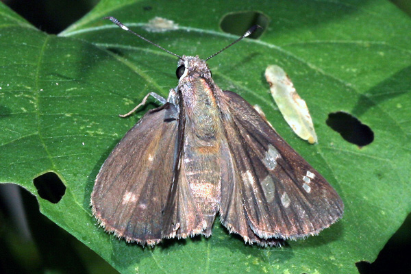Image 400x300