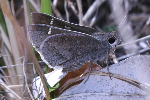 Image 400x300