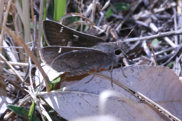 Image 400x300