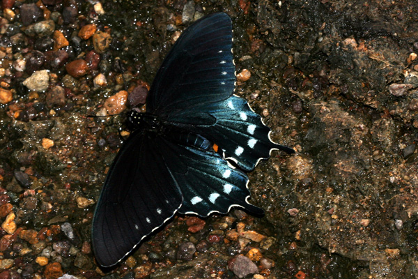 Image 400x300