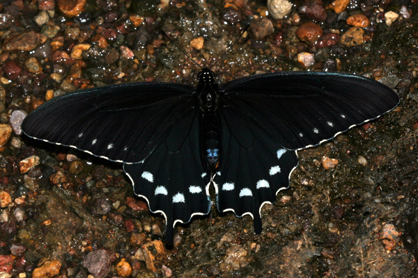 Image 400x300
