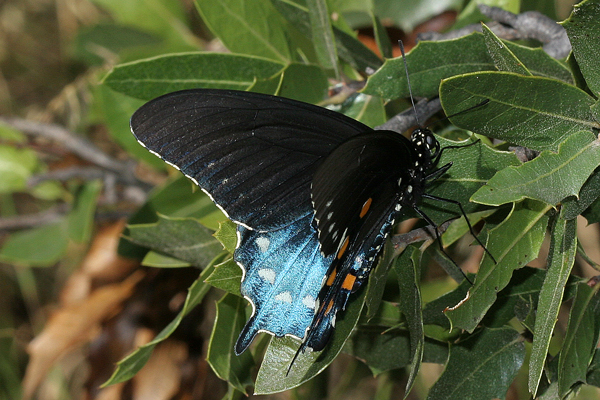 Image 400x300