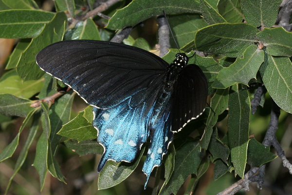 Image 400x300