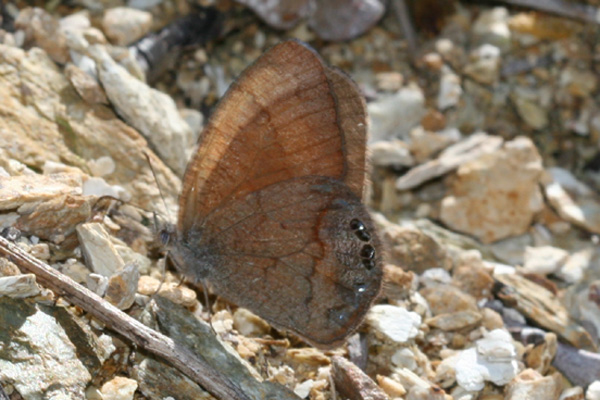 Image 400x300