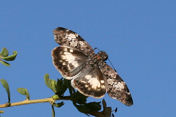 Image 400x300