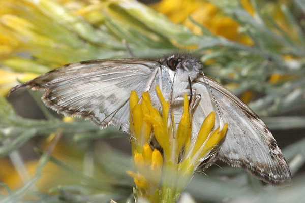 Image 400x300