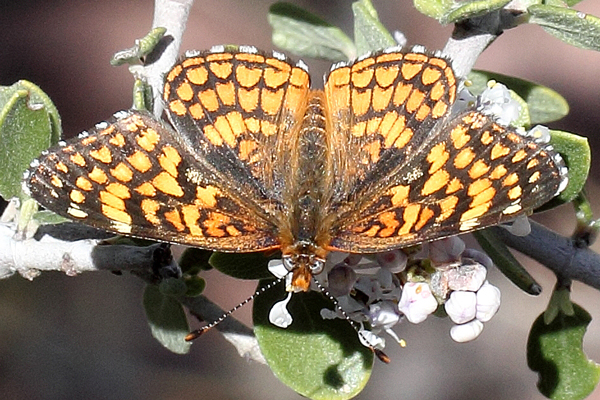 Image 400x300