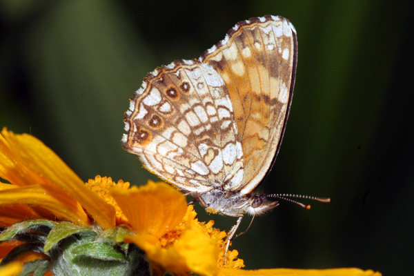 Image 400x300