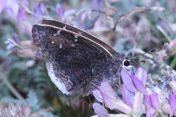 Image 400x300