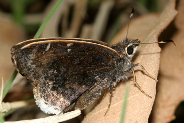 Image 400x300