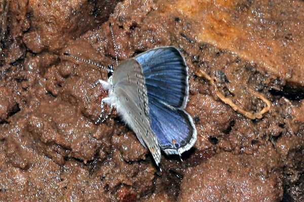 Image 400x300