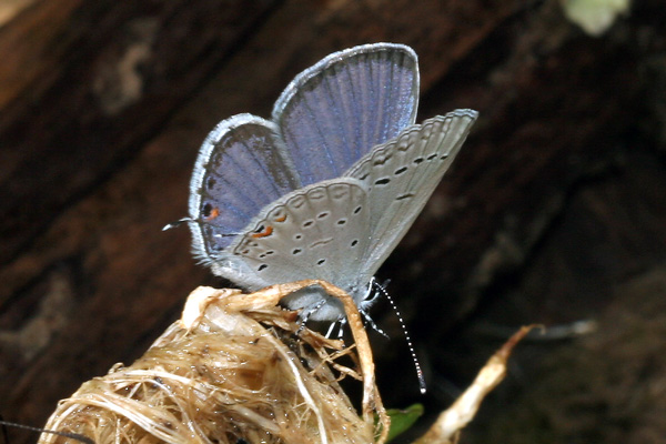 Image 400x300