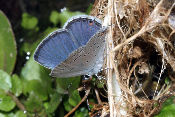Image 400x300