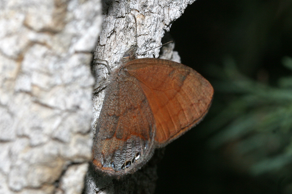 Image 400x300
