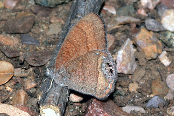 Image 400x300