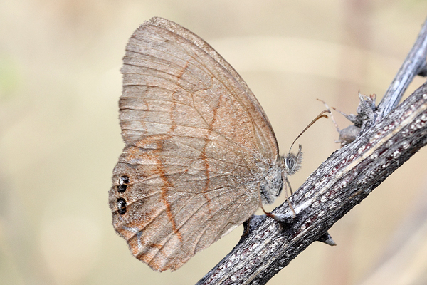Image 400x300