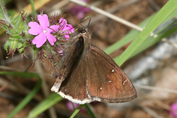 Image 400x300