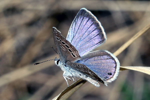 Image 400x300