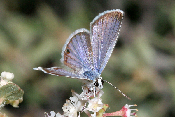 Image 400x300