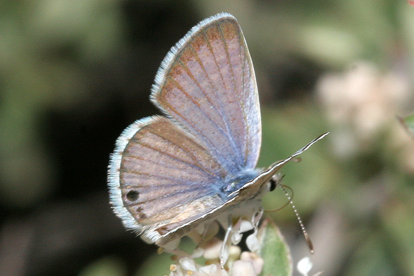 Image 400x300