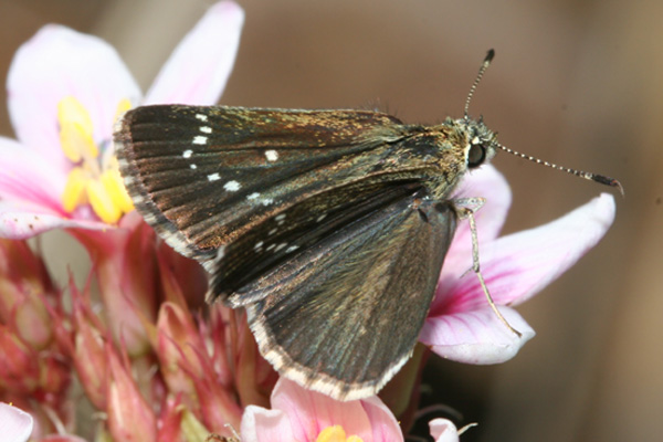 Image 400x300