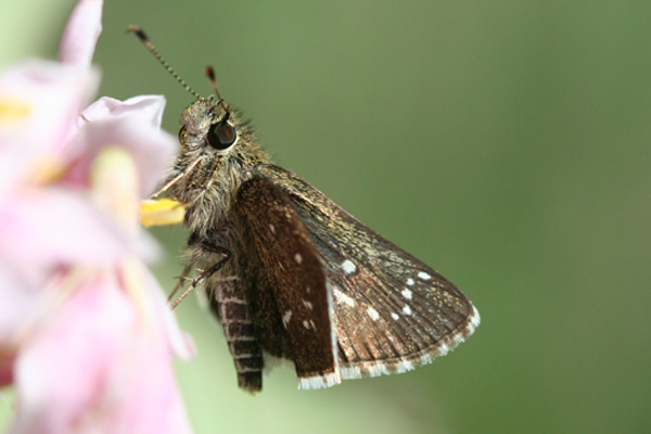Image 400x300