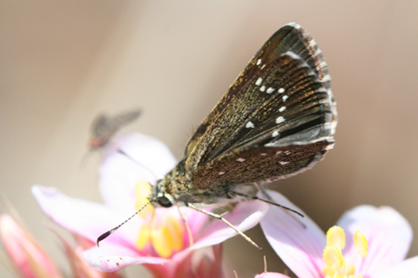 Image 400x300