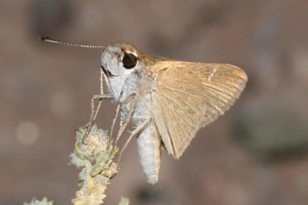 Image 400x300