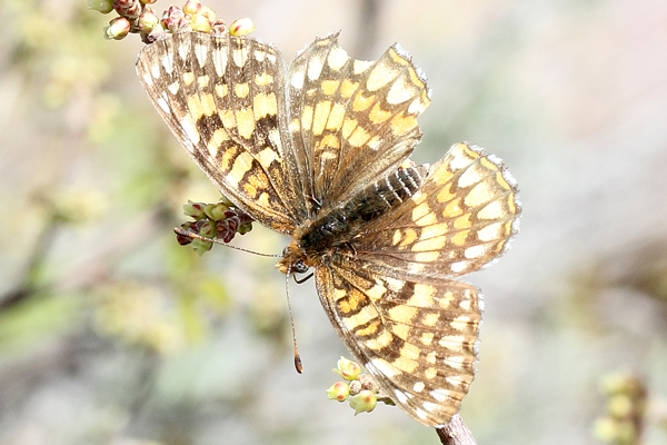 Image 400x300