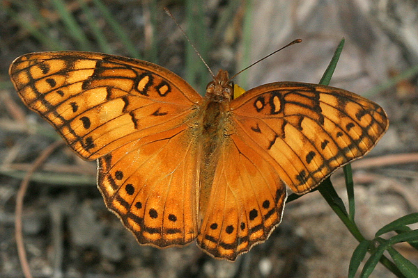 Image 400x300