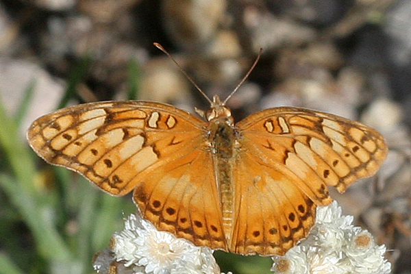 Image 400x300