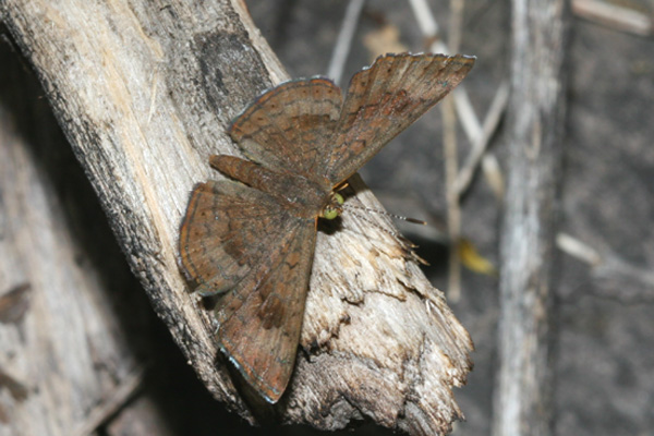 Image 400x300