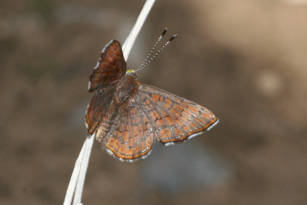 Image 400x300