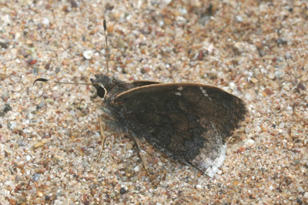 Image 400x300