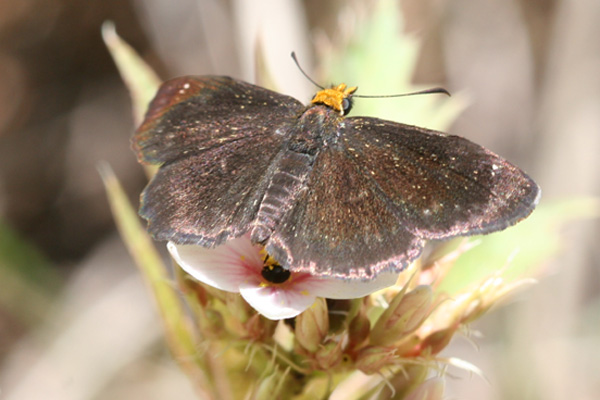 Image 400x300