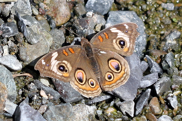 Image 400x300