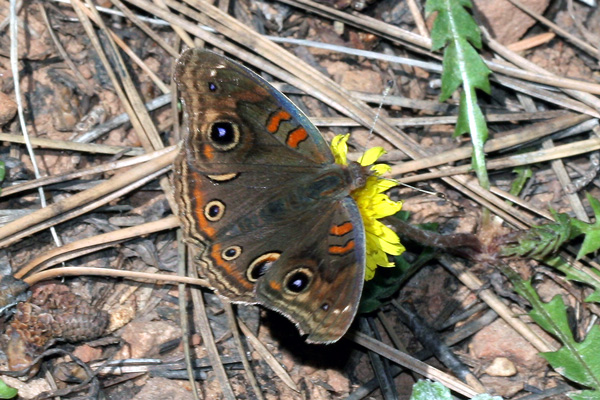 Image 400x300