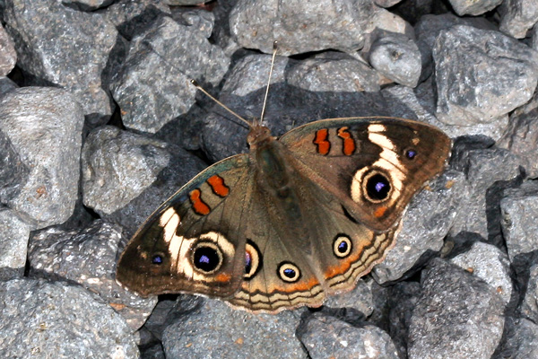 Image 400x300