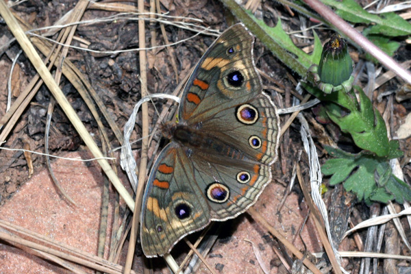 Image 400x300