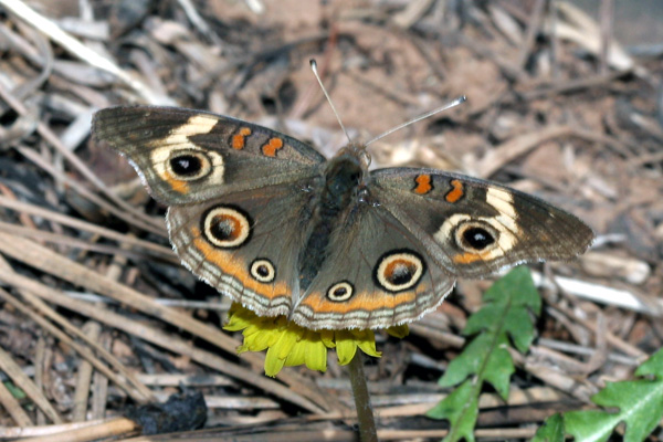 Image 400x300