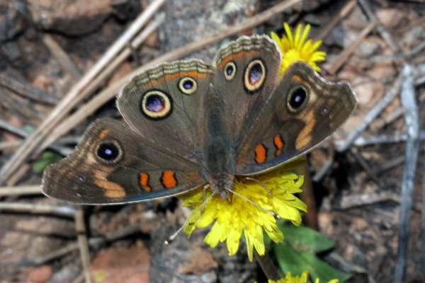 Image 400x300